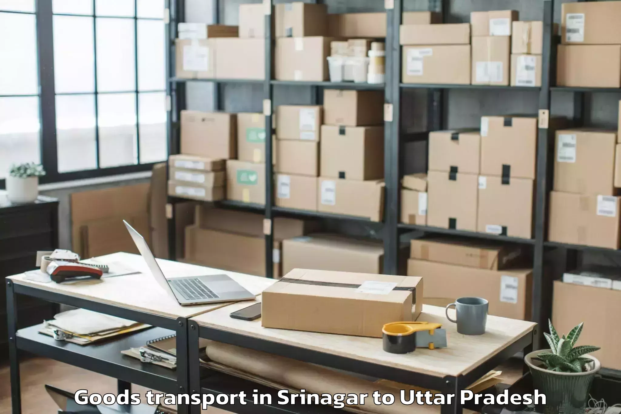 Easy Srinagar to Mursan Goods Transport Booking